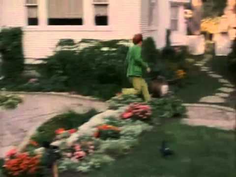 drop-dead-fred-shin-kicking