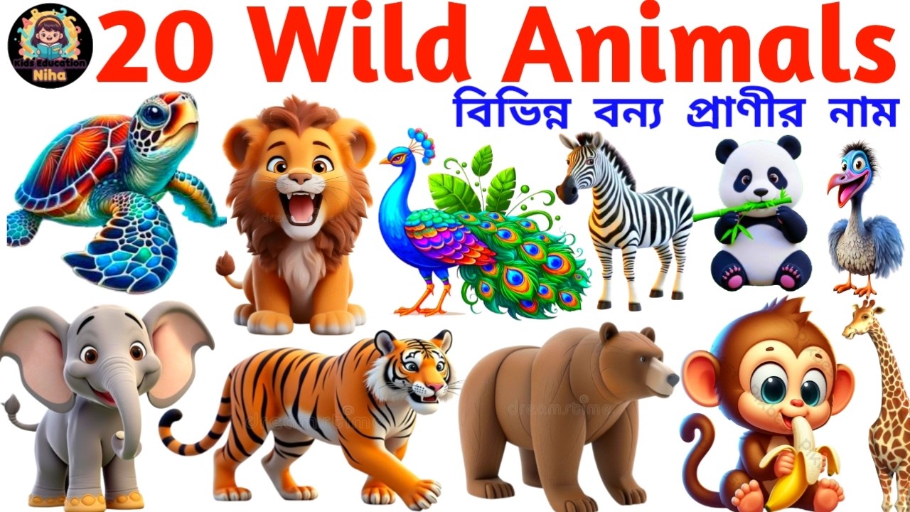 বিভিন্ন বন্য প্রাণীর নাম | Wild Animals Name in English with Pictures | Vocabulary Video