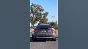 Mustang Mach1 Launch #newedge