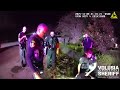 Gas thieves caught: 11/9/24