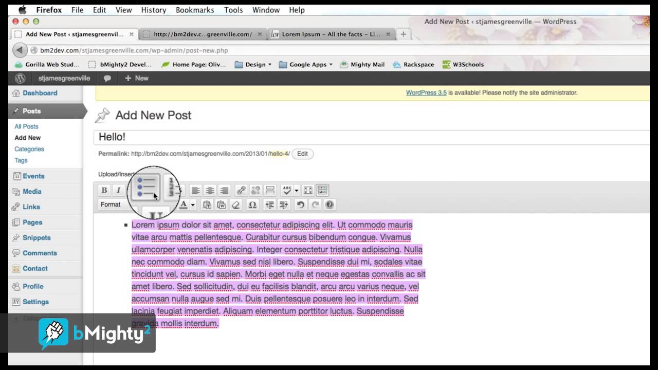 Wordpress 101 Part 4.1 - Creating a New Post - YouTube