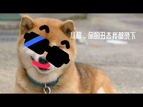 猫奴注意！搞笑小电影开場了！