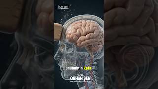 🧠 KAFA YARALANMASI SONRASI NE OLUYOR?#beyin