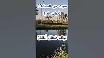 صوت من السماء 29 # تلاوة نادرة #قرآن #قران_كريم #قران #قرآن_كريم #اكسبلور #الشيخ مبارك  #الشيخ