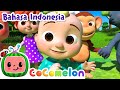 Lagu namaku  cocomelon bahasa indonesia  lagu anak anak