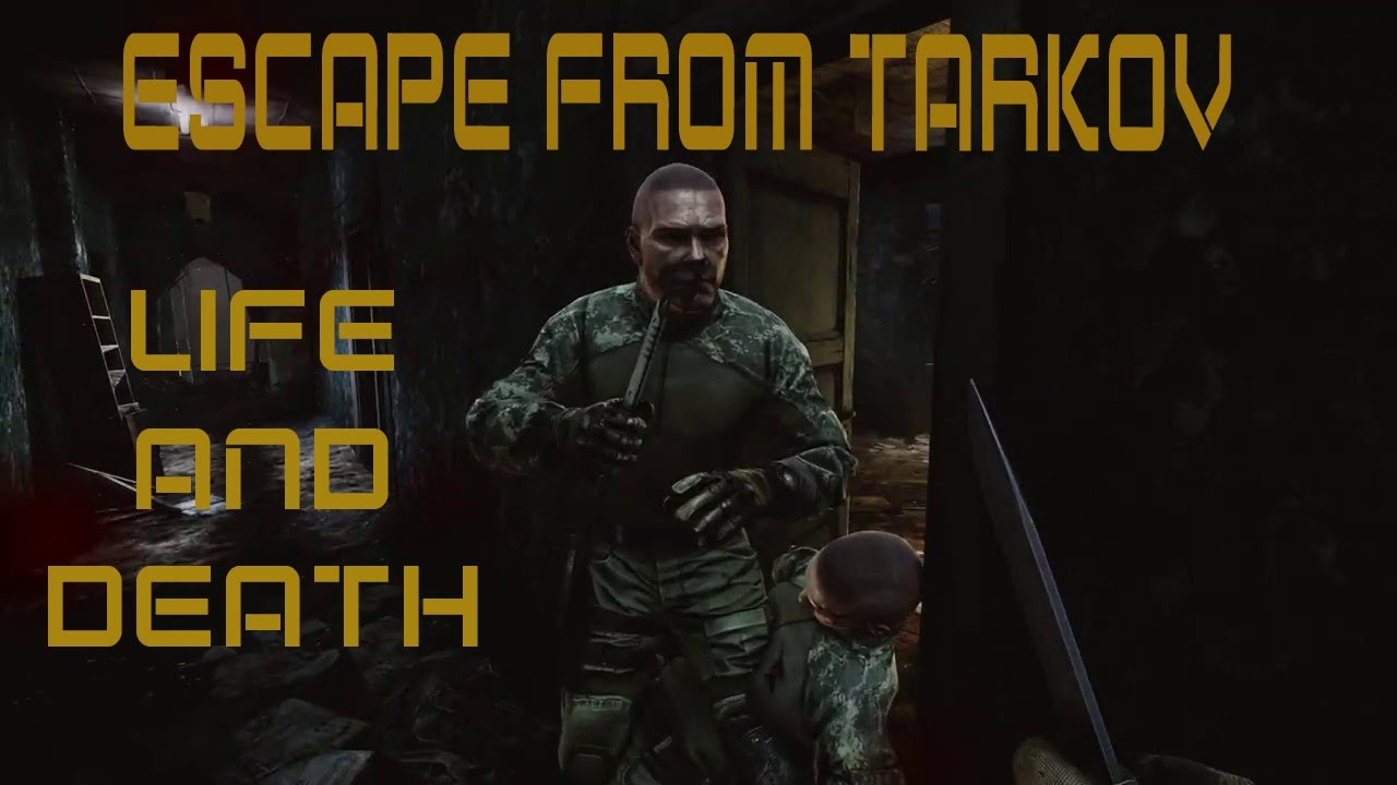 Have fun nikita this wipe 1.0 | Escape From Task (EFT) | Live stream 