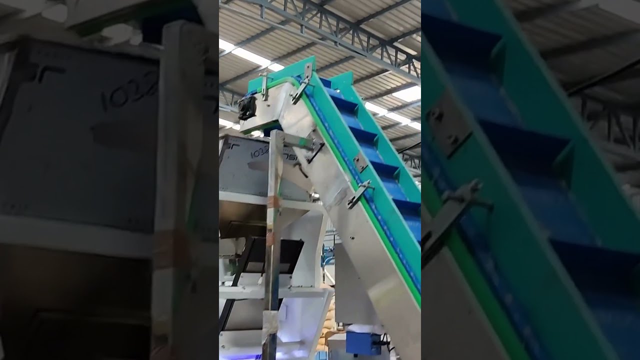 Cashew Color Sorter With Feeding System