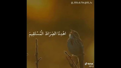 سورة الفاتحة بمقام ( نهاوند) للقارئ الشيخ ياسر الدوسري ( اكتب شيء تؤجر عليه) ❤