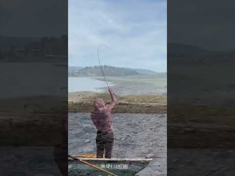 Fly Fishing report, White Mountain Apache Reservation 3-29-26