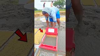 Rice production is increasing with this Smart Sheet!