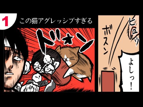 猫のポンタ 猫のポンタ