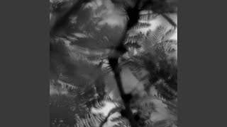 Download Lagu Next Time MP3