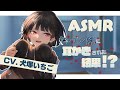 【ASMR】ヤンデレ妹に耳かきされた結果！？【CV.犬塚いちご】 耳かきボイス Ear Cleaning