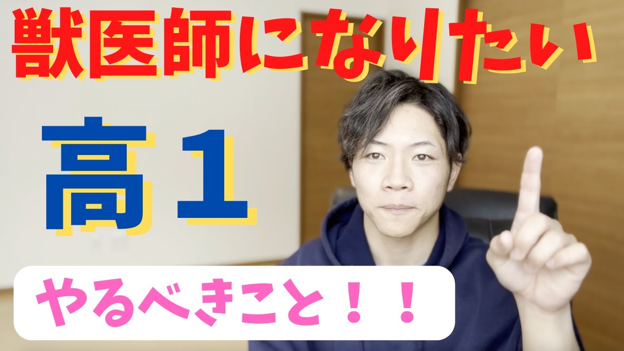 獣医師を目指す高校１年生がやるべきこと3選！！合格率を上げる秘策とは？