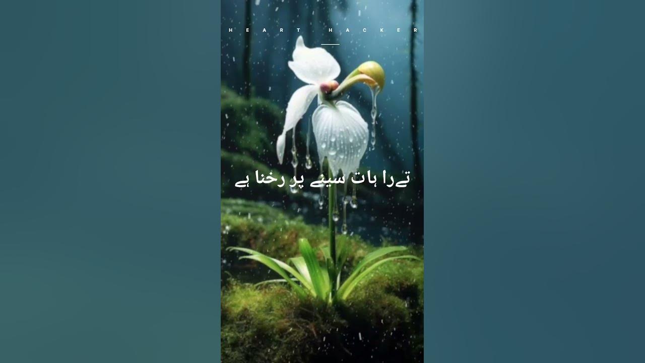 ek-aakhri-baar-milna-hai-tujhse-youtube