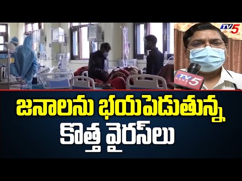 జనాలను భయపెడుతున్న కొత్త వైరస్ లు .. | Seasonal Diseases | Hyderabad | TV5 News Digital - TV5NEWS