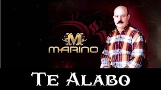 TE ALABO   Marino   Voz y Letra