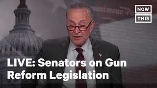 Senate Majority Leader Chuck Schumer Holds a Press Conference | LIVE