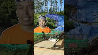 Download Lagu Longsor Akses Taman IKN #DIANRANA MP3 Download Lagu Longsor Akses Taman IKN #DIANRANA MP3