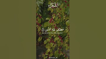 سورة الشعراء | القارئ : عثمان مشعل الحداد |#alquran #fyp