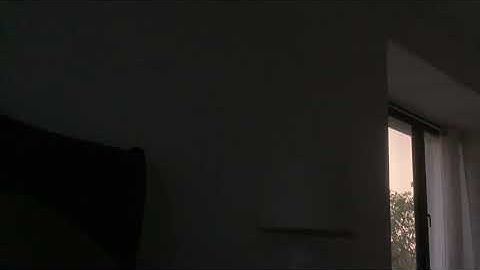 Message to Shannon The Plotagon Animator And Anti Piracy Maker 2021 (READ DESC CUZ I CAN’T TALK)