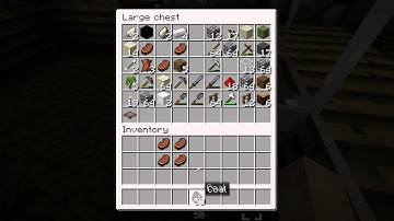 Minecraft Fraps Quality Test