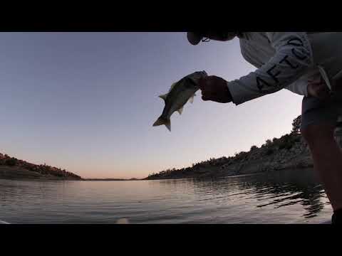 Eastman Lake CA  Bass Fishing – June 2025