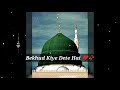 Bekhud kiye dete hai andaaz e hijabana by zoya fatima khan  naat shareef  naat whatsapp status