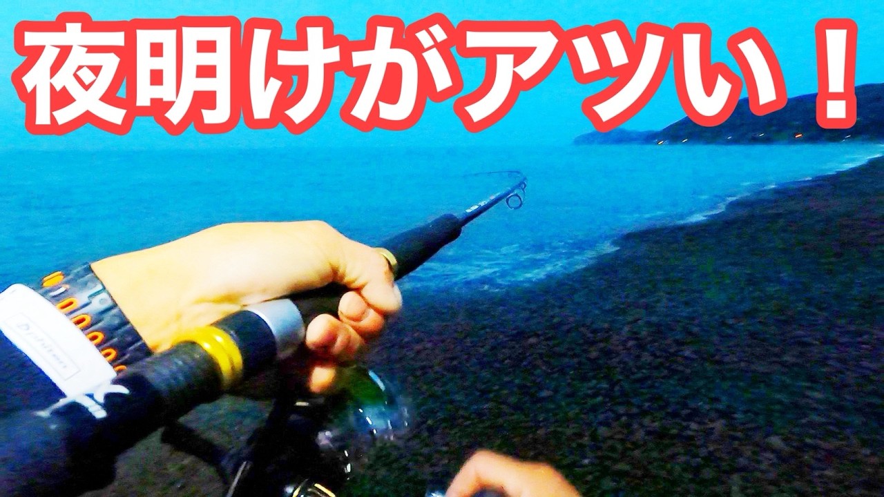 【夜明けがアツい！】トップで即ヒット〜！久しぶりの釣りは楽し過ぎました【ショアジギング/飲ませ釣り】