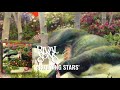 Rival sons shooting stars official audio