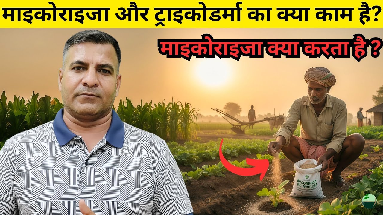 1547-Kisan karyashala: माइकोराइजा और ट्राइकोडर्मा क्यों जरूरी है जमीन के लिए Rahul Jawan के साथ।