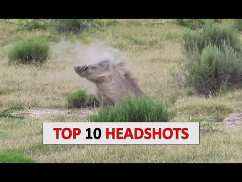 10 Hog Hunting Headshots