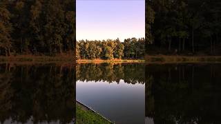 Zalew Skowronek 🇵🇱 Alwernia #shorts #travel #poland #zalew