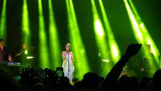 Information Lamb- Gorecki @ Music Jam Sofia News