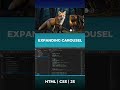 Responsive Animal Carousel HTML CSS JS Magic! #WebDev #UIUX
