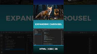Responsive Animal Carousel HTML CSS JS Magic! #WebDev #UIUX