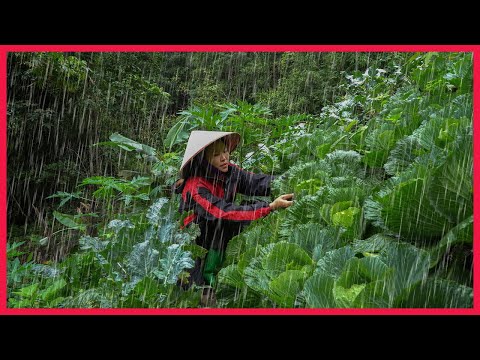 [SOLO WORK] Taking care of the vegetable garden on a rainy day. Building farm, free Life (ep132)