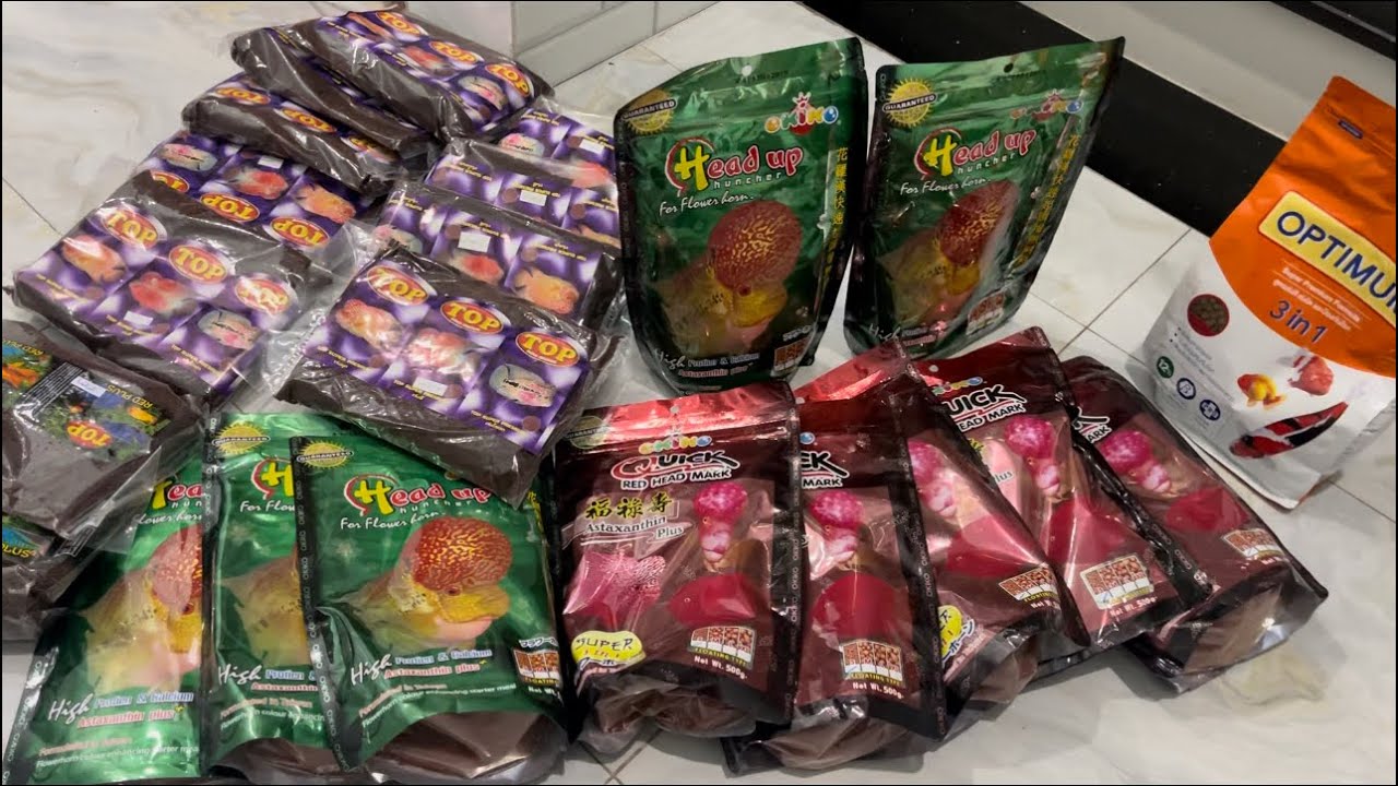 Kamfa Cho Ăn Cám Là Sai Là Ngu????| TOANKAMFA|