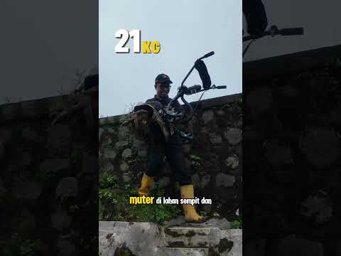 Mini tiller FTL450Y Jago bertenaga 2 hp, karena didesain untuk lahan terasering #minitiller #ftl450y