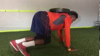 Quadruped Crawl