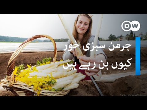 جرمن سبزی خور بنتے ہوئے، فوڈ انڈسٹری کا کیا بنے گا