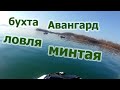 Открытие жидкой воды, ловля минтая в бухте Авангард