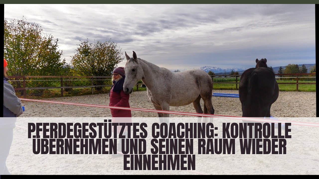Pferdegestütztes und systemisches Coaching: Kontrolle übernehmen und Raum einnehmen - 2. Sequenz