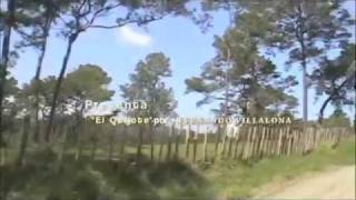 Video thumbnail of "El Quijote - Fernando Villalona.m4v"