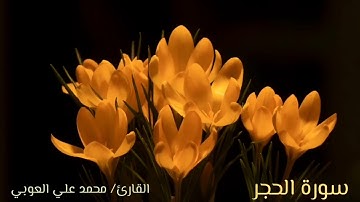 سورة الحجر | "وَلَقَدْ جَعَلْنَا فِي السَّمَاءِ بُرُوجًا وَزَيَّنَّاهَا لِلنَّاظِرِينَ..."