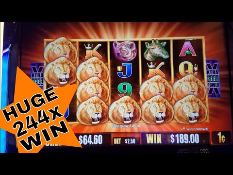 Sunset King Slot Machine Super Big Win  🌟 SUPER FEATURE BONUS 🌟 Huge Win