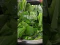 必要なのは小松菜と塩昆布だけ。旨味がじんわり染みる、小松菜の塩昆布煮