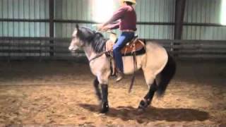 Soft Horse Demonstration.mp4 screenshot 2