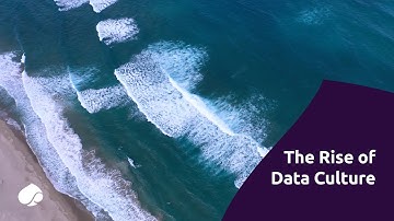 The Rise of Data Culture