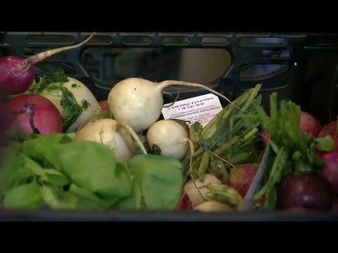 Colorado Snap Emergency Benefits Ending In February